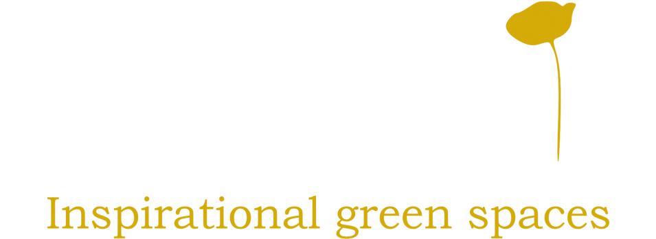 All Turf - Art Gallery (1030x411), Png Download