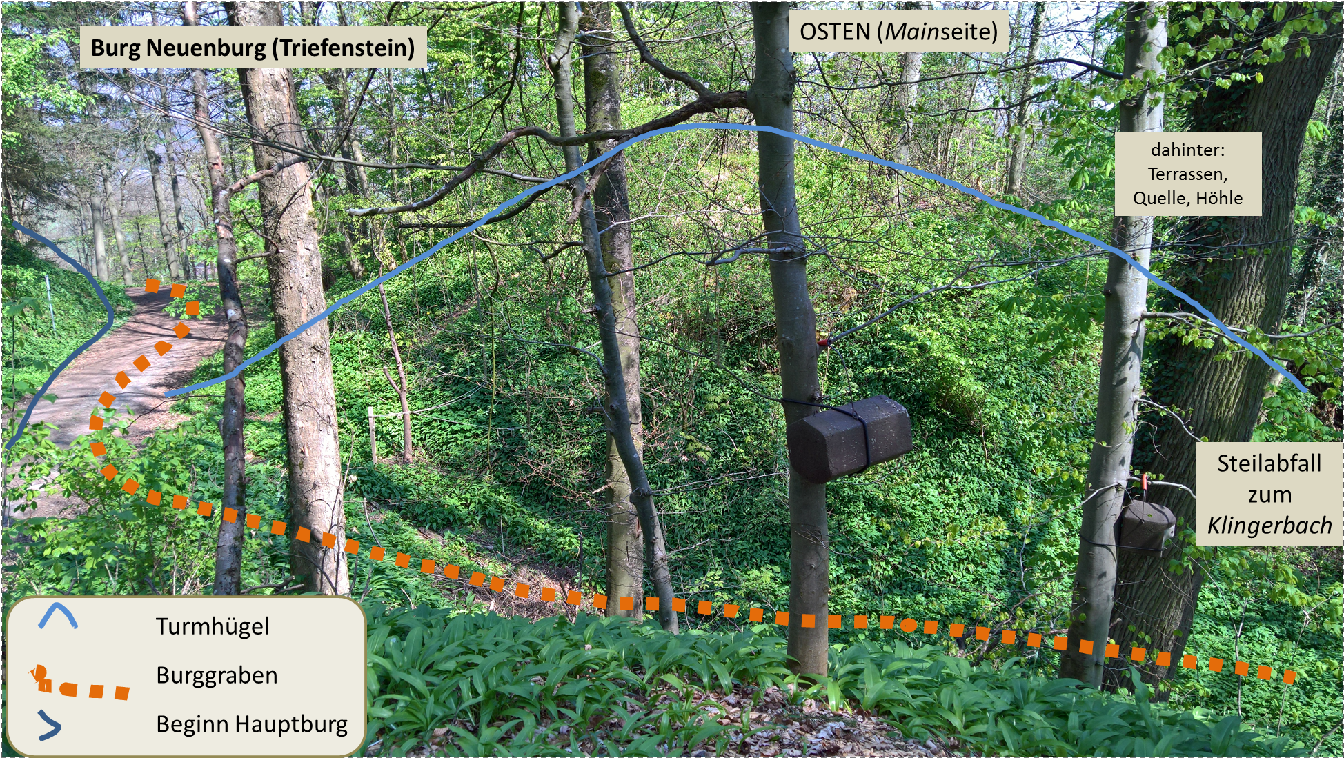 Neuenburg Triefenstein Turmhügel Beschreibung - Castle (1954x1098), Png Download