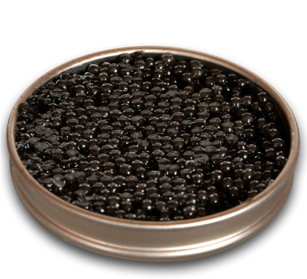 More Views - Caviar (600x600), Png Download