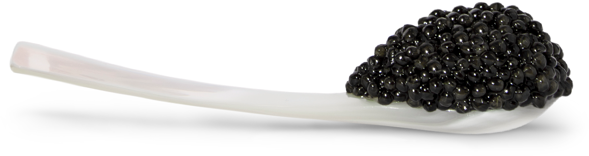 Star Of The Ocean - Blackberry (1155x612), Png Download