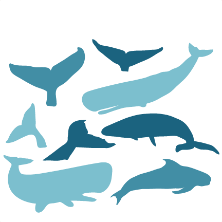 Whale Svg, Download Whale Svg - Whale Silhouette Clipart (432x432), Png Download