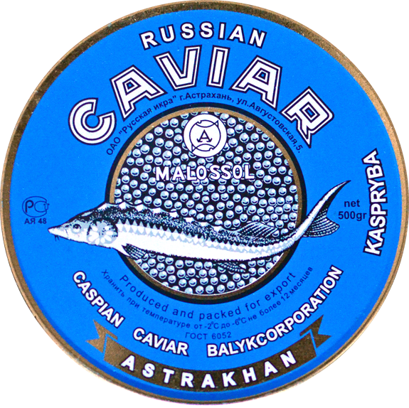 National Caviar Day - Un Grand Week-end À Saint-pétersbourg - Broché (575x574), Png Download