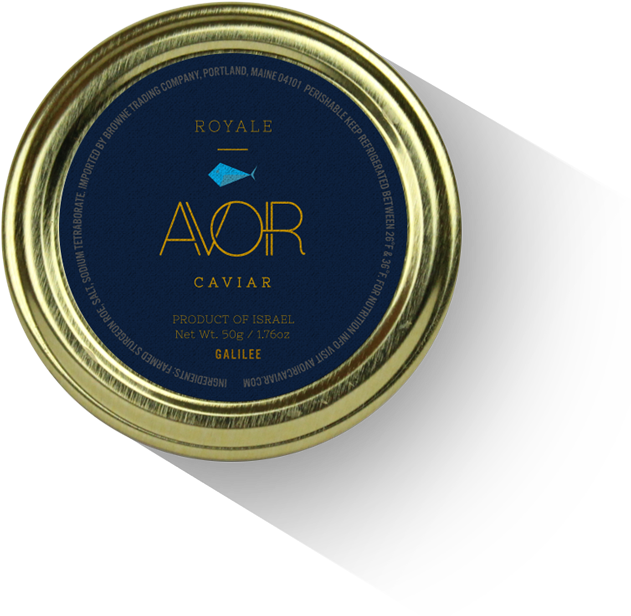 Avoir Osetra Caviar Royale - Circle (800x662), Png Download