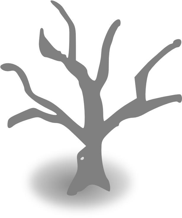 Dead Tree Clipart Simple - Tree Graphic Organizer Template (699x771), Png Download
