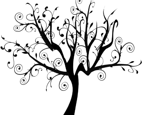Dead Tree Clipart Swirly - Transparent Background Tree Clipart Black And White (640x480), Png Download
