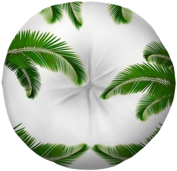 Set Of Backgrounds With Palm Leaves - Sfondi Con Le Foglie (400x400), Png Download