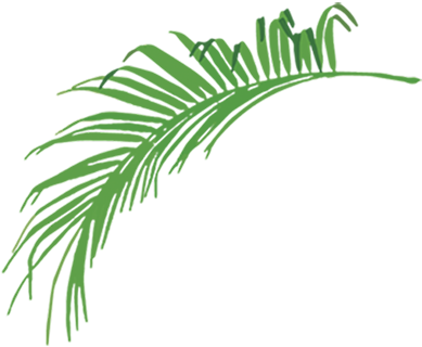 Performance Plus Events - Stock Illustration (427x336), Png Download