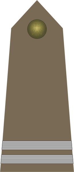 Corporal Ww2 Polish Army - Polish Armed Forces (258x600), Png Download