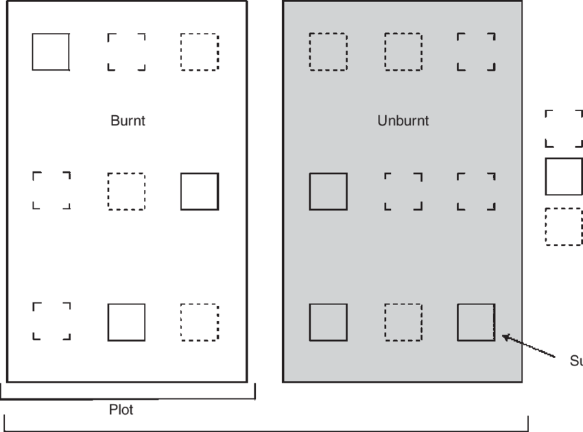 Schematic Representation Of The Experimental Design - Number (850x630), Png Download