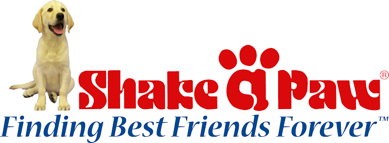 Shake A Paw Union (800x295), Png Download