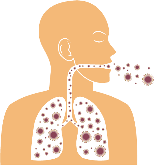 59 Pm 2109 Seesaw - Prevenir Las Alergias (850x850), Png Download