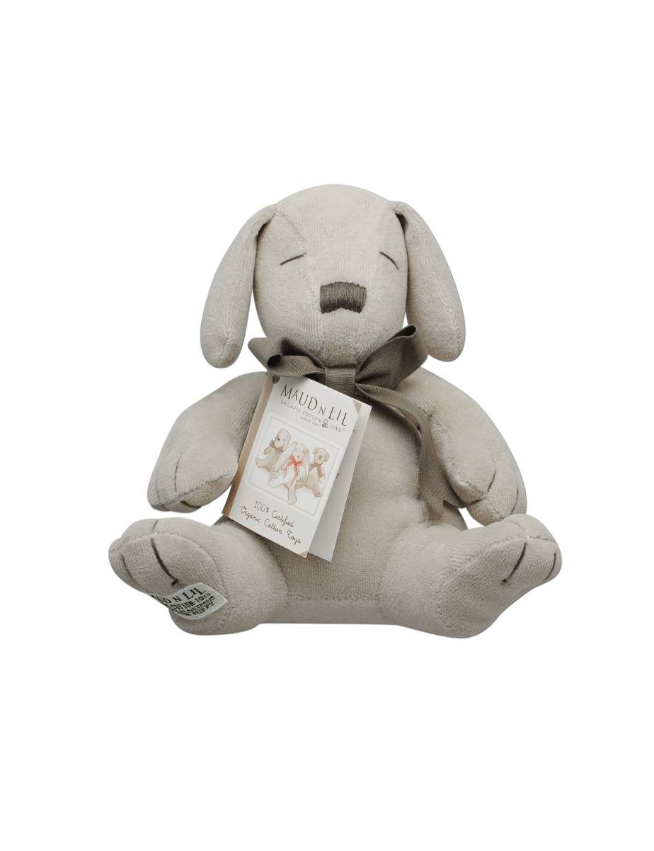 Paws The Puppy - Stuffed Toy (1200x1200), Png Download