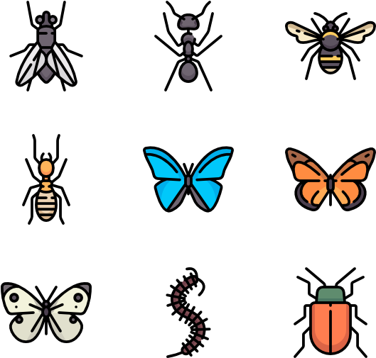 Insects - Swallowtail Butterfly (600x564), Png Download