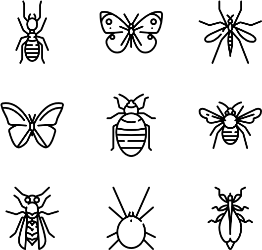 Insects - Insect (600x564), Png Download