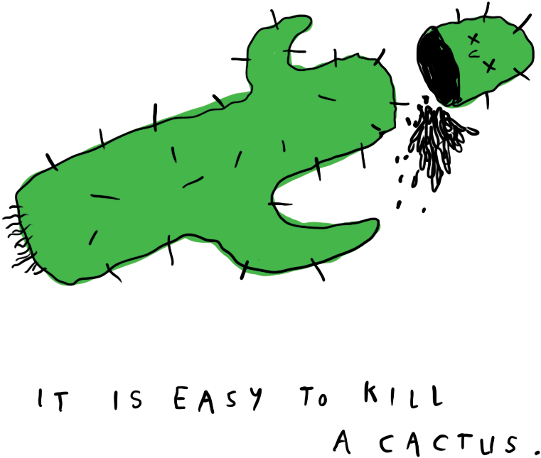 Christian Cactus - Cactus (820x800), Png Download