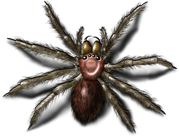 Bugs Png Image - Portable Network Graphics (588x454), Png Download