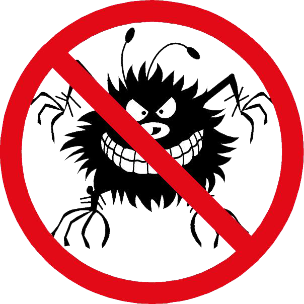 Bed Bug (604x604), Png Download