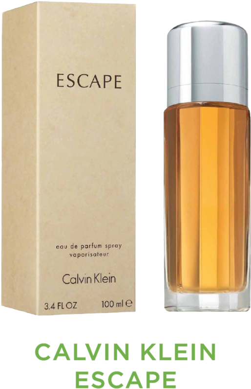 Perfumes-06 - Calvin Klein - Escape 100ml Eau De Parfum Spray For (1000x1000), Png Download