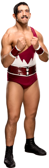 Simon Gotch - Wwe Simon Gotch Png (320x728), Png Download