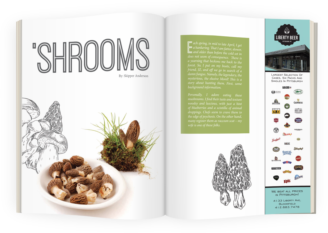 Hunting The Elusive Morel - Natural Foods (1200x900), Png Download