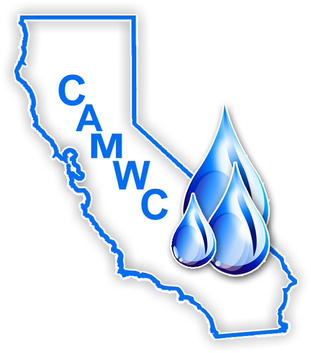 Logo - California Election 2018 Primary (770x744), Png Download