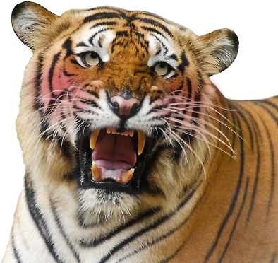 Grft Blushing - Uncle Grandpa Mad Libs (402x401), Png Download