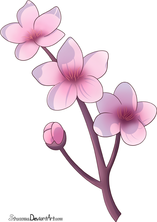 Cherry Blossom Branch By Stacona - Dibujo Flor De Cerezo (614x867), Png Download