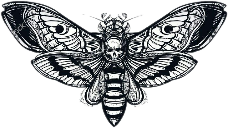 Moth Skull Butterfly Tattoo Tattoos Scary - Skull Moth (729x412), Png Download