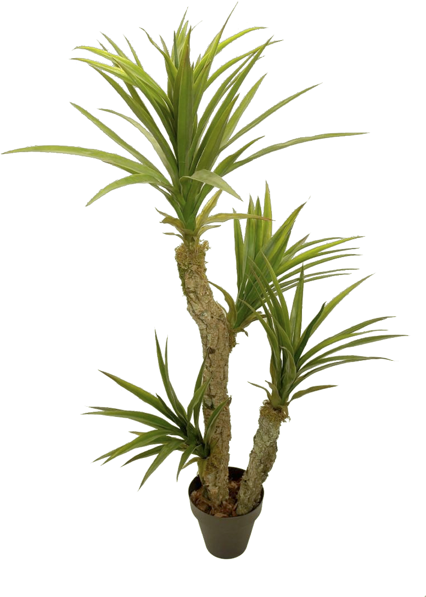 Yuca - Plastic (1200x1200), Png Download
