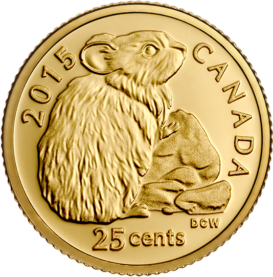 Gold Coin (570x570), Png Download