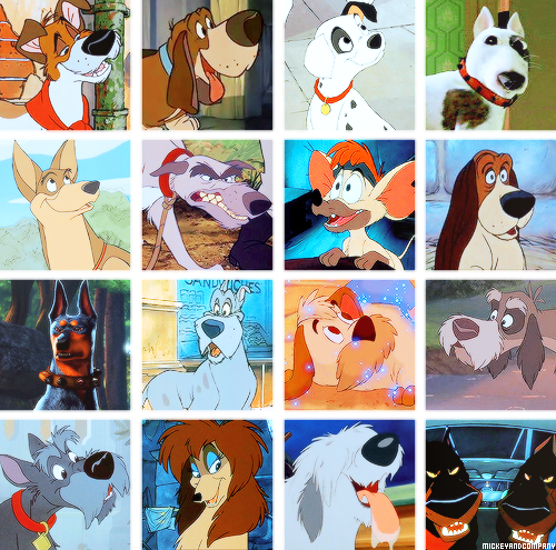 Company Roscoe And Desoto (500x495), Png Download