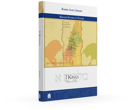 Torn In Two [hardcover] - Torn In Two (700x651), Png Download