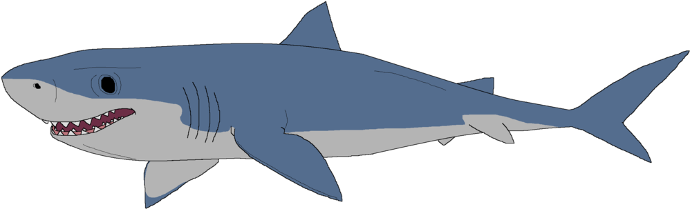 Great White Shark By Kylgrv On Deviantart - Great White Shark Clip Art (1024x326), Png Download
