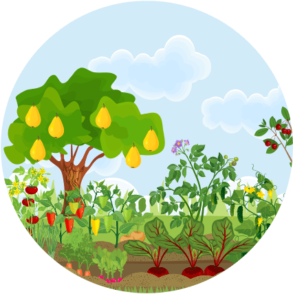 Newsletter - Different Fruit Trees (446x440), Png Download