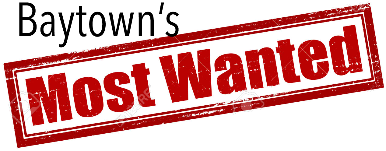 Baytown's Most Wanted - Stamp Transparent Background Sample Stamp (1300x725), Png Download