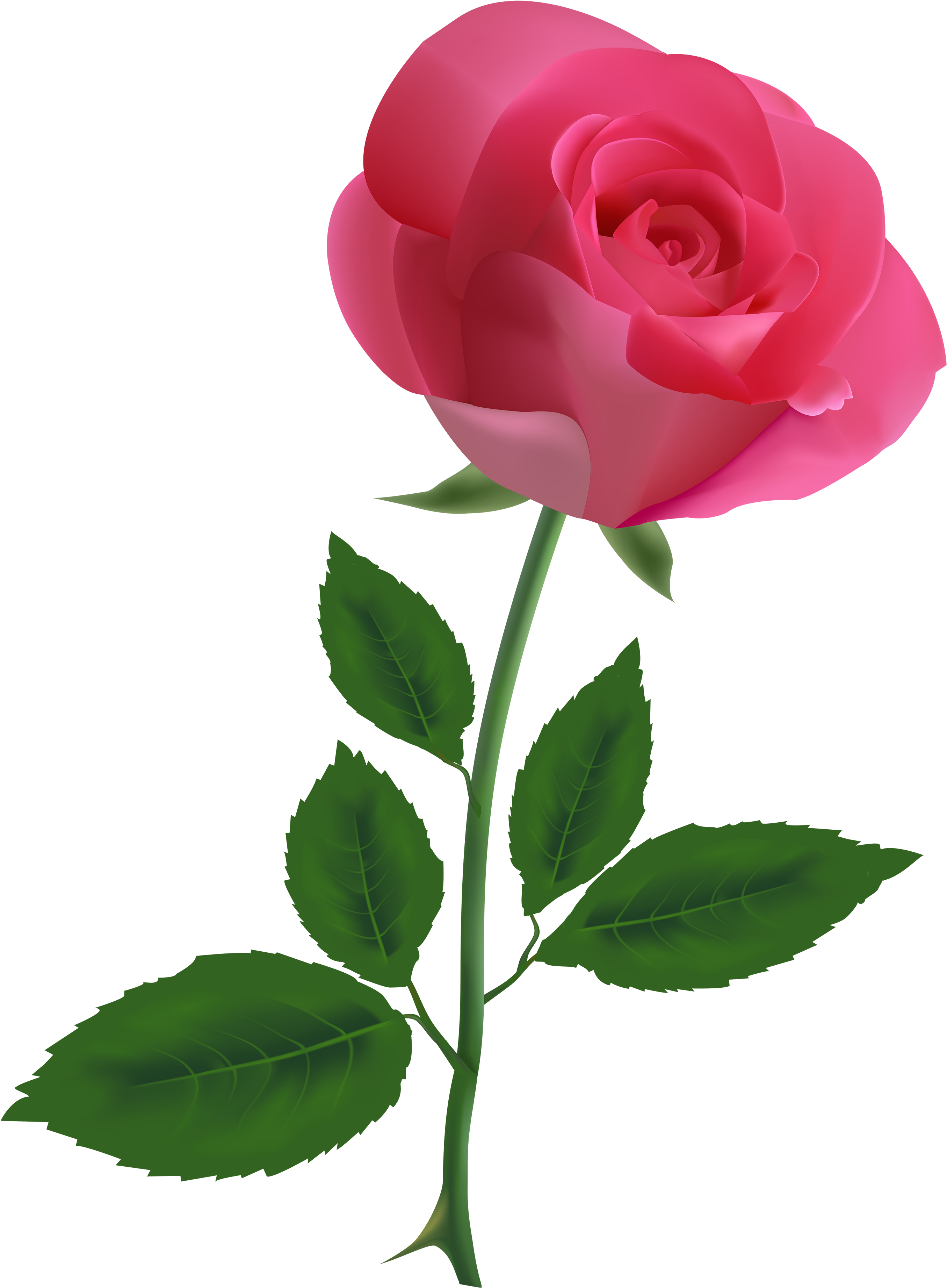 Jpg Freeuse Library Clipart Of Roses (2880x4000), Png Download