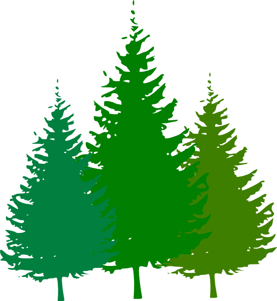 Forest - Forest Clipart (552x601), Png Download