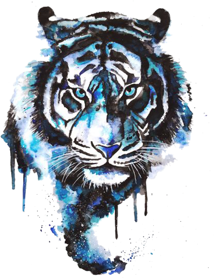 Lion Tiger Animals Watercolour Watercolor - Watercolor Tiger Tattoo (1024x1024), Png Download