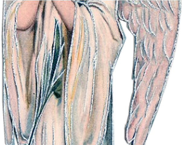 Angel Clipart Victorian Angel - Angel (640x480), Png Download