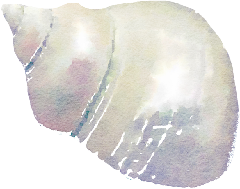 Banner Royalty Free Download Free To Use Png Seashell - Logo (993x804), Png Download