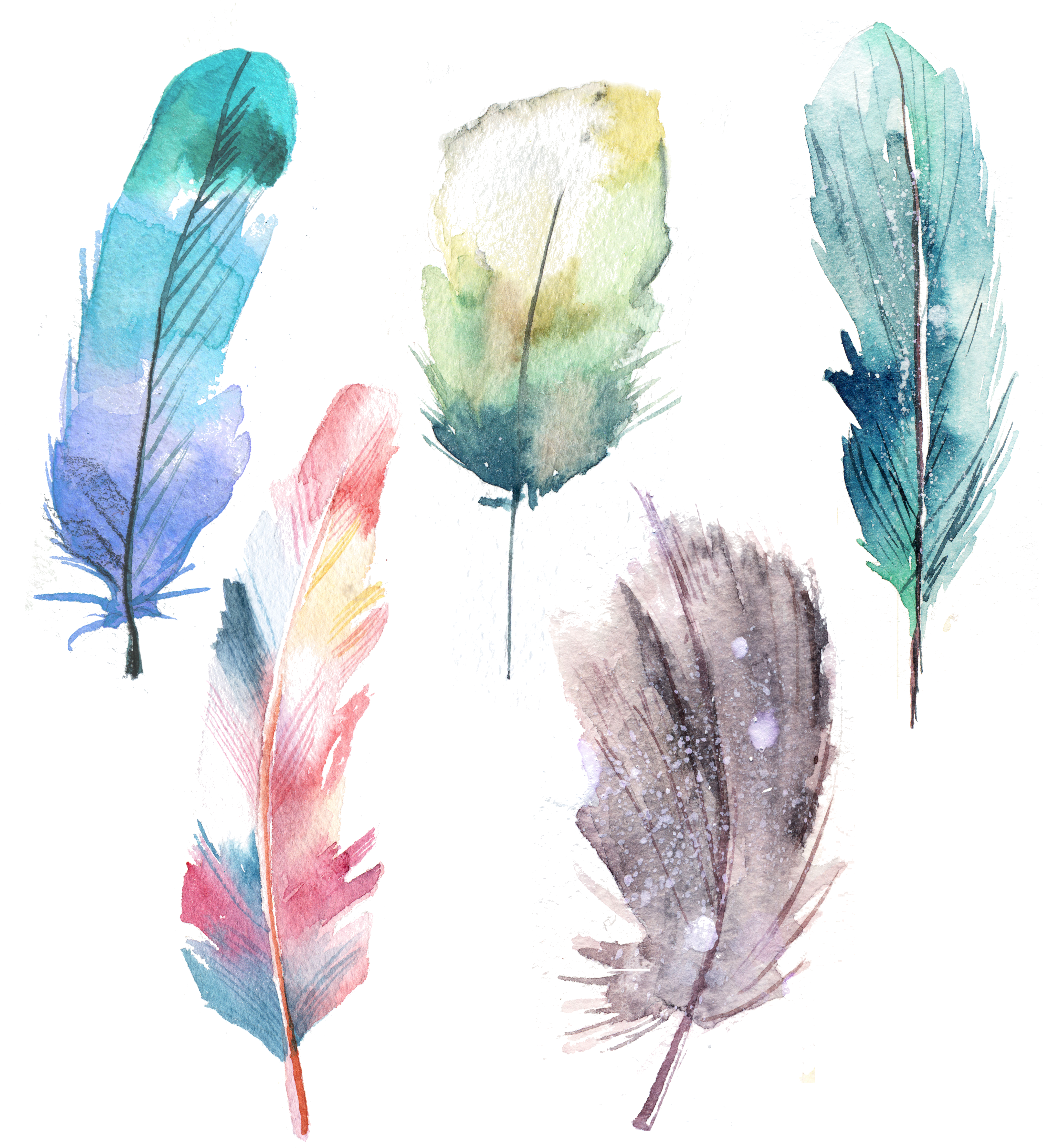 Feather Painting Blue Transprent (4724x4724), Png Download