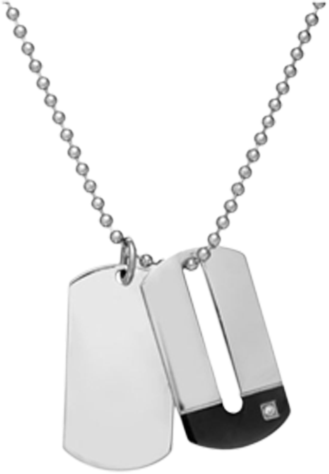 Chain Transparent Png Dog - Png Locket For Men (1000x1000), Png Download