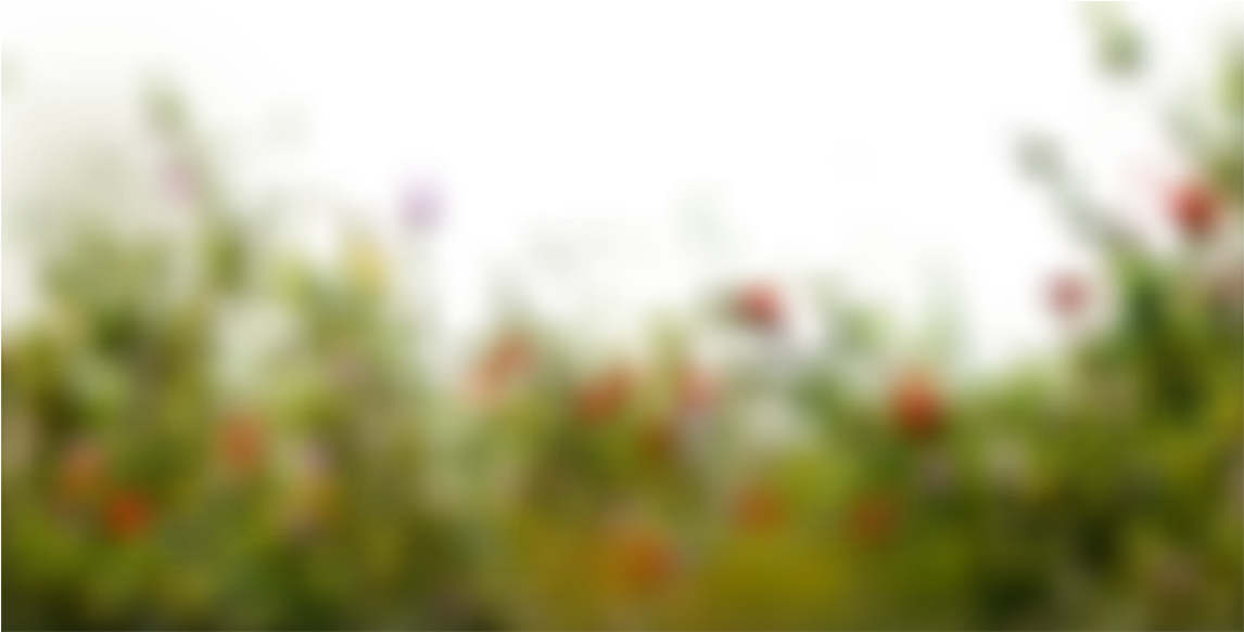 Download Bokeh Background By Learningwithsr Transparent Background Picsart Png Transparent