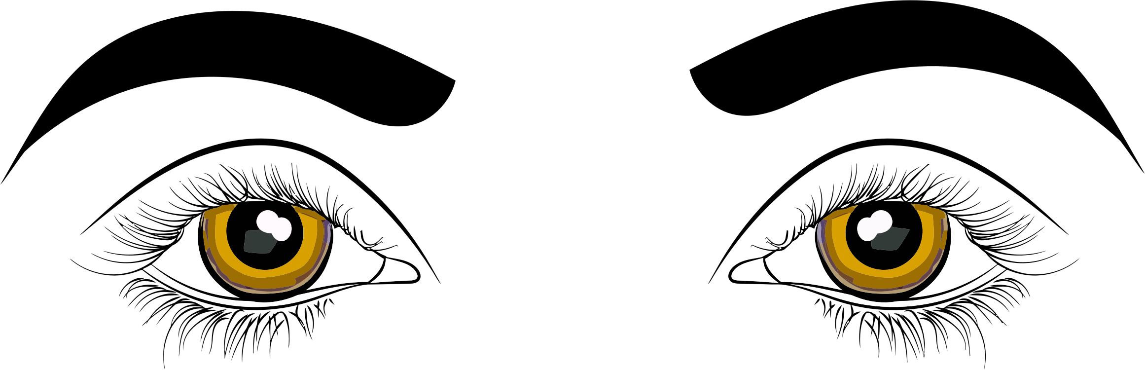 Human Eye Drawing Clip Art For Liturgical Year Cartoon - Clipart Picture Of Eyes (2322x750), Png Download