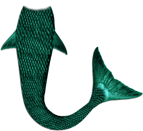 Cola De Sirena Animada Png (600x776), Png Download