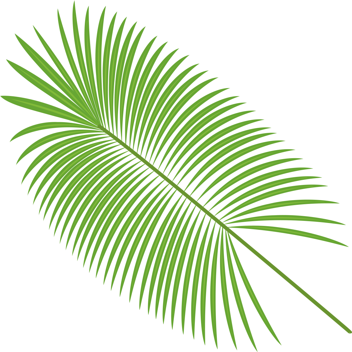 Palm Leaves Vector Material - Vector Hojas Png (1400x1400), Png Download