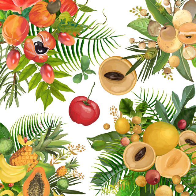 Decorative Watercolor Forest Fruits Background, Fruits - Fruit (640x640), Png Download