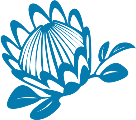 Australian Mermaid - Mermaid (450x396), Png Download