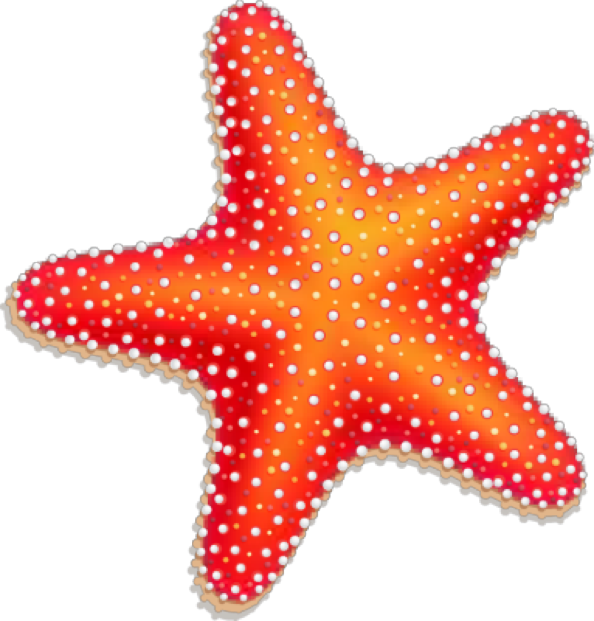 Pin By Monica Lucas On Signs Coastal - Clip Art Cute Starfish (1961x2048), Png Download