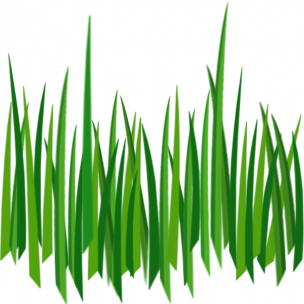 Cartoon Grass Transparent Background (600x600), Png Download